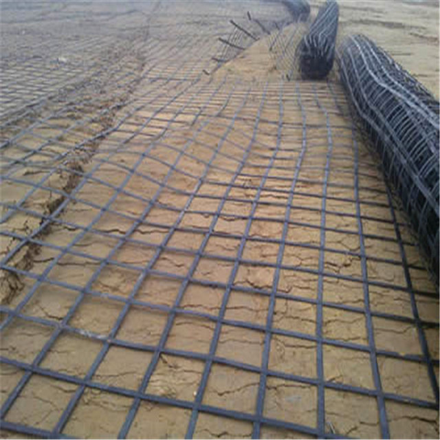  Geogrid of Steel Plastic.jpg