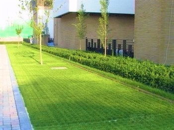 HDPE Honeycomb Plastic Recyclable Grass Paving Grid