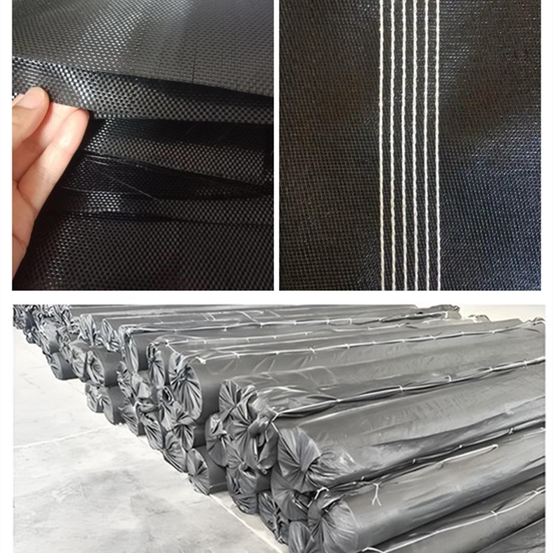 حقيبة نزح المياه من الحمأة Geotube للحماية من الفيضانات.jpg