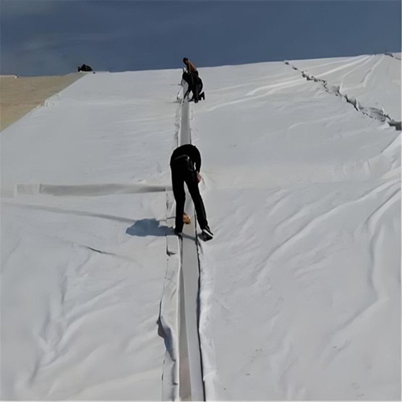 إنشاء الجيوتكستايل.jpg إنشاء الجيوتكستايل.jpg