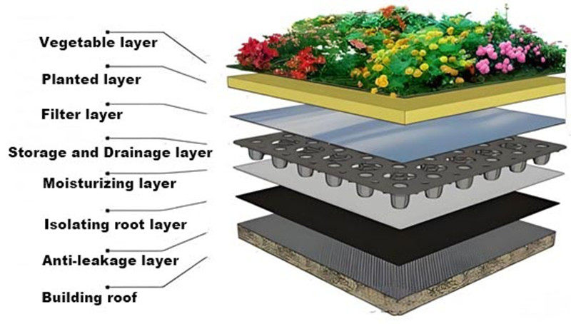 排水板结构 1_ 副本 .jpg