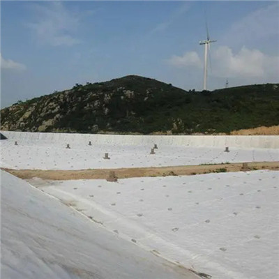 ألياف أساسية إبر نسيجية لصيانة الطرق السريعة.jpg