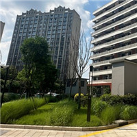 حصاد مياه الأمطار للمجتمع السكني.jpg