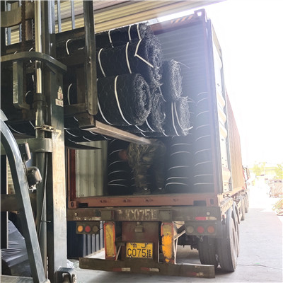 حصيرة جيوجريد معززة ثلاثية الأبعاد.jpg حصيرة جيوجريد معززة ثلاثية الأبعاد.jpg