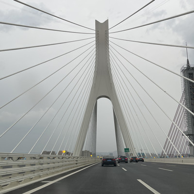 ألياف الفولاذ عالية القوة