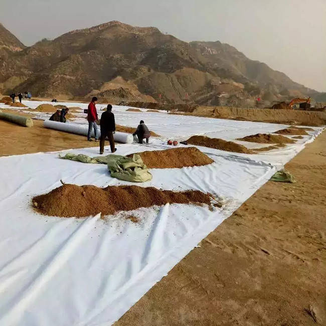 نسيج جيوتكستايل مثقوب لإبر تثبيت التربة.jpeg