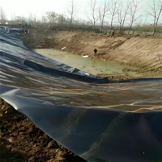 بطانة البولي إيثيلين عالي الكثافة للبركة.jpg بطانة البولي إيثيلين عالي الكثافة للبركة.jpg