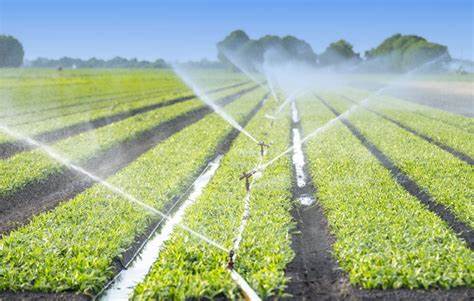 جمع مياه الأمطار للري جمع مياه الأمطار للري