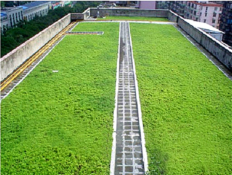 لوحة تصريف ذات تجاويف للحديقة السطحية.jpg