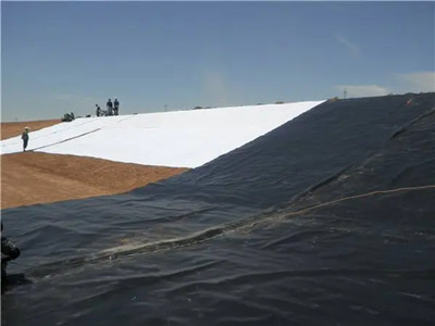 HDPE Geomembrane Impermeable Liner.jpg