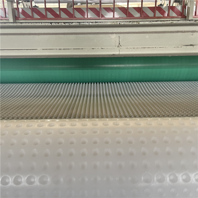 سعر الجملة للوح الصرف HDPE المخصص ذي النتوءات.jpg